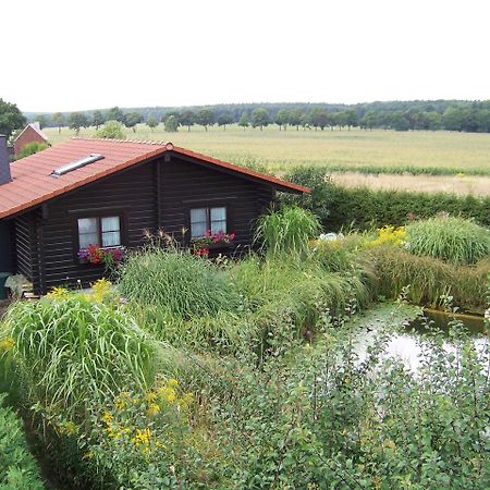 Ferienhaus Hohenlubast Grafenhainichen Εξωτερικό φωτογραφία